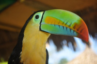 /album/fotogaleria-panama-zajazd-vy-a-my/panama-san-blas-zajazd-52-jpg/